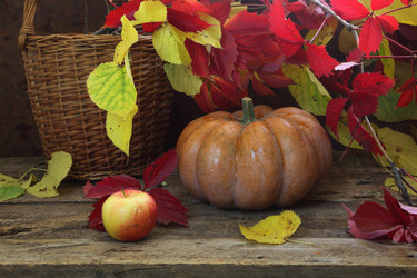 Similar image 21546655