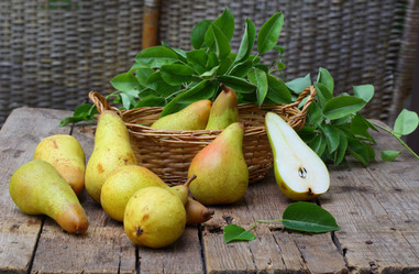 Similar image 21539521