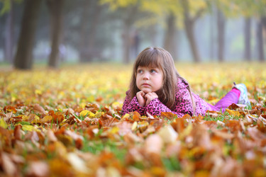 Similar image 21524986