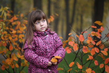 Similar image 21524987