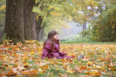 Similar image 21524991