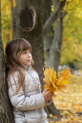 Similar image 21524992