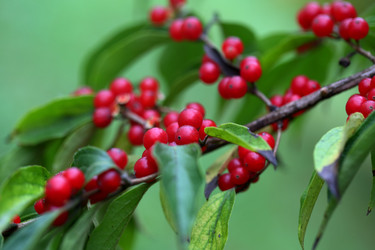 Similar image 21547773