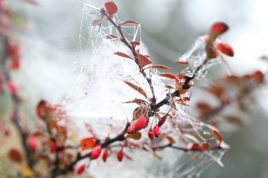 Similar image 21547774