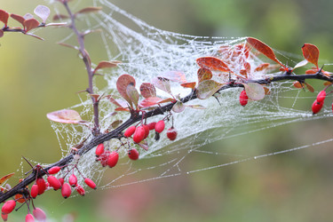 Similar image 21547775