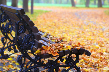 Similar image 21524993