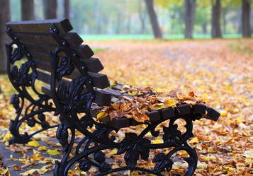 Similar image 21524994