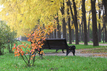 Similar image 21524995