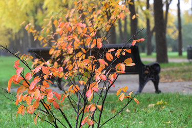 Similar image 21524996