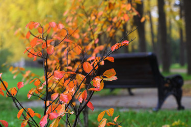 Similar image 21524997