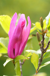 Similar image 21546657