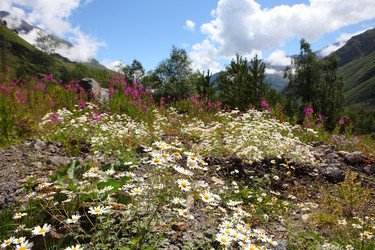 Similar image 21530091