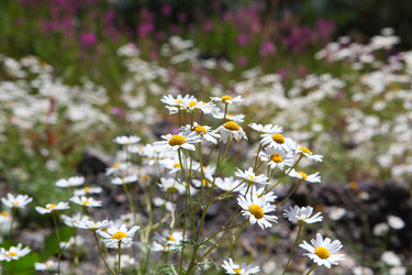 Similar image 21530092