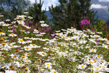 Similar image 21530093