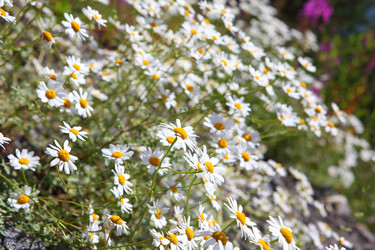 Similar image 21530094