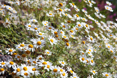 Similar image 21530095