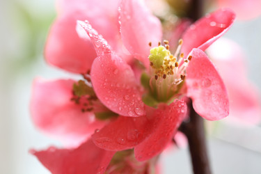 Similar image 21546658