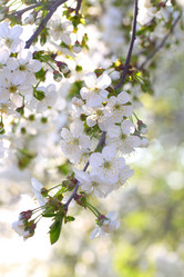 Similar image 21546659