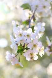 Similar image 21546660