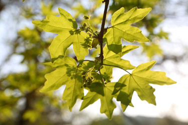 Similar image 21541101