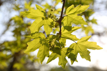 Similar image 21541102