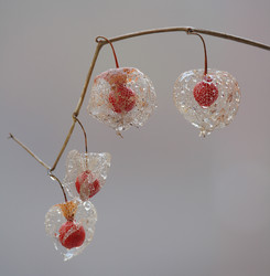 Similar image 21530096