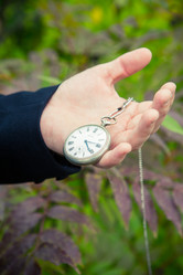 Similar image 21524999