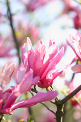 Similar image 21546661