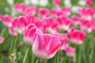 Similar image 21546662