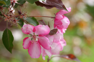 Similar image 21546663