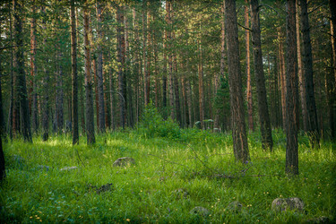 Similar image 21546664