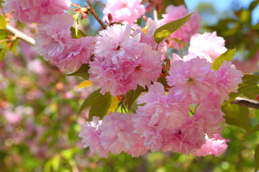 Similar image 21546665