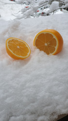 Similar image 21533673