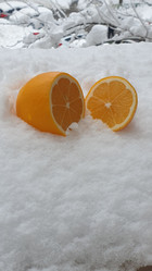 Similar image 21533674