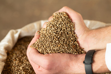 Similar image 21538726