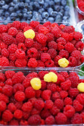 Similar image 21542697