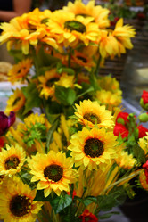 Similar image 21532079