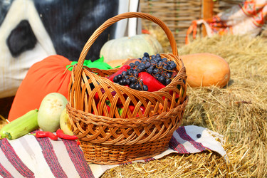 Similar image 21532083