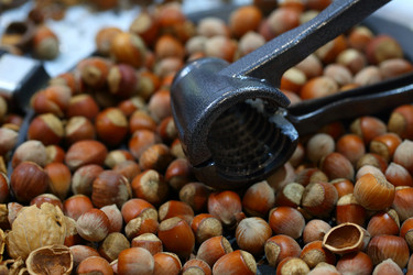 Similar image 21529521