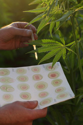 Similar image 21547325