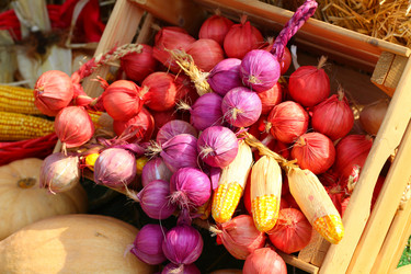 Similar image 21532089