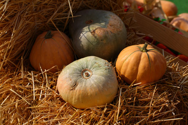 Similar image 21532090