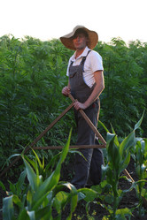 Similar image 21538729