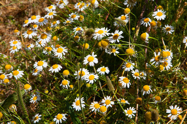 Similar image 21530099