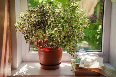 Similar image 21530100