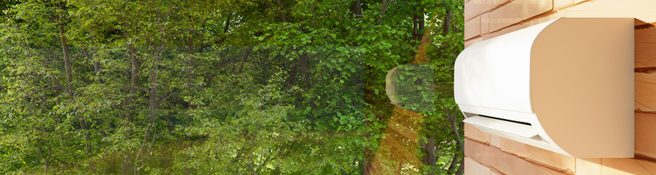 Similar image 21547568