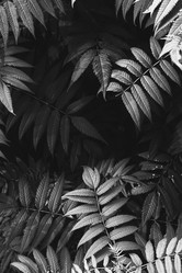 Similar image 21546666