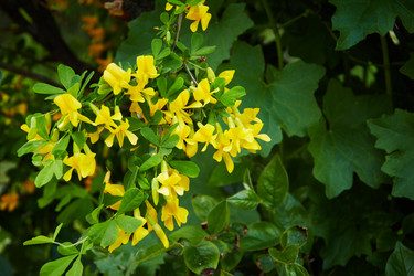 Similar image 21547892