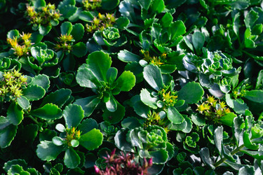 Similar image 21547893