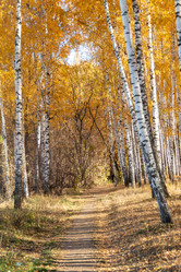 Similar image 21546674